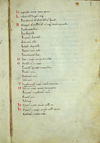 manoscrittoantico/BNCR_MS_FARF_1/BNCR_MS_FARF_1/19