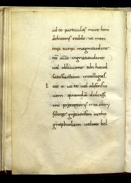 Erotemata (cc. 1v - 95v); Scholia in Erotemata (cc. 96r - 102v, 125r - 126v); Ad Franciscum Barbarum Venetum epistula (cc. 103r - 105v); Περὶ δασείας καὶ ψιλῆς (cc. 106r-124v)