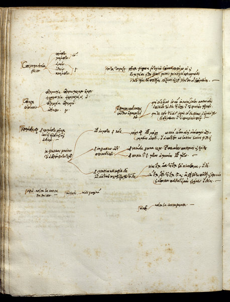 Prolegomena (cc. 1r-4r); Ilias, liber I (cc. 9r-80r); Scholia grammatica in Iliadis librum I et aliae adnotationes grammaticales (cc. 9v-84r)