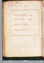 manoscrittoantico/BNCR_Ms_SESS_0013/BNCR_Ms_SESS_0013/382