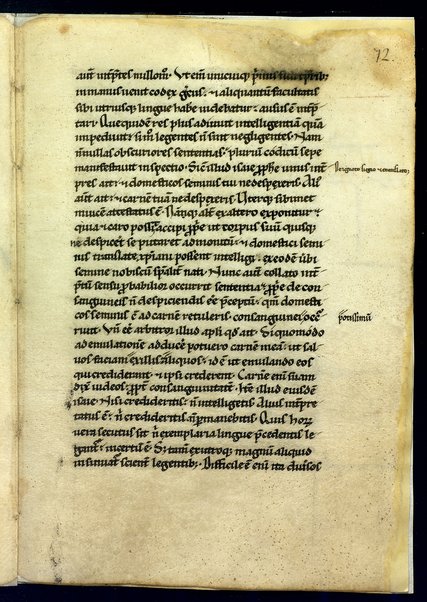 Liber de divinis officiis; Bibbia. Vecchio testamento. Genesi; Commentariorum in epistolam ad Galatas libri tres; Index aliquorum Evangeliorum; Passio Sanctorum martirum VII fratrum Dormencium in monte celeo non longe a civitate effesum. Maximianus, Malcus, Martinianus, Dionisius, Ihoannes, Saraphion et Constantinus; De doctrina christiana; Quadriginta Homiliarum in Evangelia; Enarrationes in Psalmos; Omelia di autore incerto sul testo del Vangelo "Verbum erat apud Deum et Deus erat verbum"; Decretum Beati Gregorii papae ad clericos, in basilica Beati Petri apostoli; Quadriginta Homeliarum in Evangelia