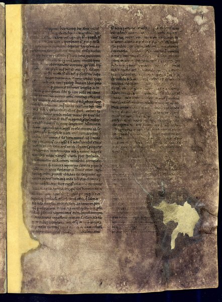 Liber de divinis officiis; Bibbia. Vecchio testamento. Genesi; Commentariorum in epistolam ad Galatas libri tres; Index aliquorum Evangeliorum; Passio Sanctorum martirum VII fratrum Dormencium in monte celeo non longe a civitate effesum. Maximianus, Malcus, Martinianus, Dionisius, Ihoannes, Saraphion et Constantinus; De doctrina christiana; Quadriginta Homiliarum in Evangelia; Enarrationes in Psalmos; Omelia di autore incerto sul testo del Vangelo "Verbum erat apud Deum et Deus erat verbum"; Decretum Beati Gregorii papae ad clericos, in basilica Beati Petri apostoli; Quadriginta Homeliarum in Evangelia