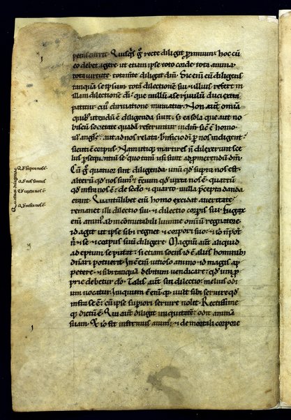 Liber de divinis officiis; Bibbia. Vecchio testamento. Genesi; Commentariorum in epistolam ad Galatas libri tres; Index aliquorum Evangeliorum; Passio Sanctorum martirum VII fratrum Dormencium in monte celeo non longe a civitate effesum. Maximianus, Malcus, Martinianus, Dionisius, Ihoannes, Saraphion et Constantinus; De doctrina christiana; Quadriginta Homiliarum in Evangelia; Enarrationes in Psalmos; Omelia di autore incerto sul testo del Vangelo "Verbum erat apud Deum et Deus erat verbum"; Decretum Beati Gregorii papae ad clericos, in basilica Beati Petri apostoli; Quadriginta Homeliarum in Evangelia