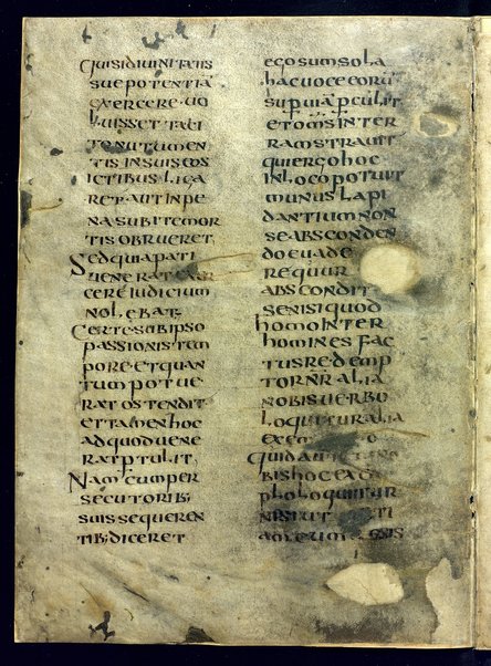 Liber de divinis officiis; Bibbia. Vecchio testamento. Genesi; Commentariorum in epistolam ad Galatas libri tres; Index aliquorum Evangeliorum; Passio Sanctorum martirum VII fratrum Dormencium in monte celeo non longe a civitate effesum. Maximianus, Malcus, Martinianus, Dionisius, Ihoannes, Saraphion et Constantinus; De doctrina christiana; Quadriginta Homiliarum in Evangelia; Enarrationes in Psalmos; Omelia di autore incerto sul testo del Vangelo "Verbum erat apud Deum et Deus erat verbum"; Decretum Beati Gregorii papae ad clericos, in basilica Beati Petri apostoli; Quadriginta Homeliarum in Evangelia