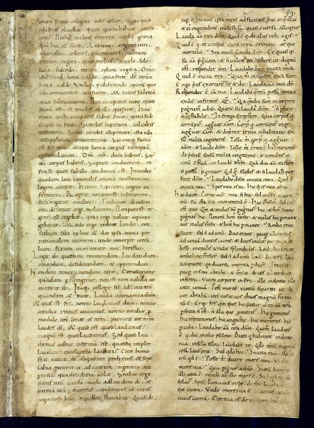 Liber de divinis officiis; Bibbia. Vecchio testamento. Genesi; Commentariorum in epistolam ad Galatas libri tres; Index aliquorum Evangeliorum; Passio Sanctorum martirum VII fratrum Dormencium in monte celeo non longe a civitate effesum. Maximianus, Malcus, Martinianus, Dionisius, Ihoannes, Saraphion et Constantinus; De doctrina christiana; Quadriginta Homiliarum in Evangelia; Enarrationes in Psalmos; Omelia di autore incerto sul testo del Vangelo "Verbum erat apud Deum et Deus erat verbum"; Decretum Beati Gregorii papae ad clericos, in basilica Beati Petri apostoli; Quadriginta Homeliarum in Evangelia