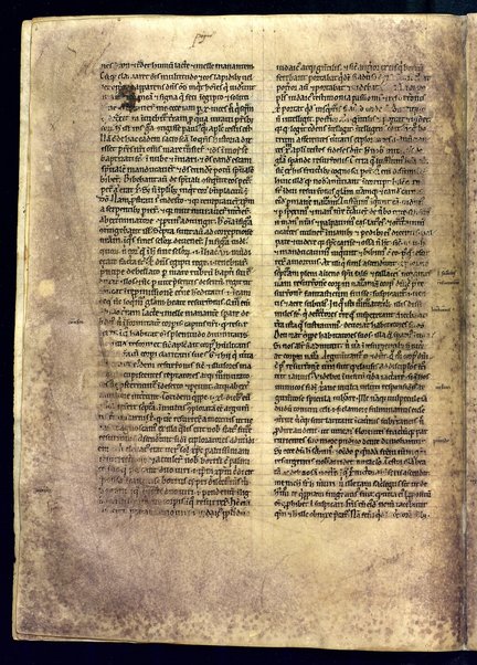 Liber de divinis officiis; Bibbia. Vecchio testamento. Genesi; Commentariorum in epistolam ad Galatas libri tres; Index aliquorum Evangeliorum; Passio Sanctorum martirum VII fratrum Dormencium in monte celeo non longe a civitate effesum. Maximianus, Malcus, Martinianus, Dionisius, Ihoannes, Saraphion et Constantinus; De doctrina christiana; Quadriginta Homiliarum in Evangelia; Enarrationes in Psalmos; Omelia di autore incerto sul testo del Vangelo "Verbum erat apud Deum et Deus erat verbum"; Decretum Beati Gregorii papae ad clericos, in basilica Beati Petri apostoli; Quadriginta Homeliarum in Evangelia