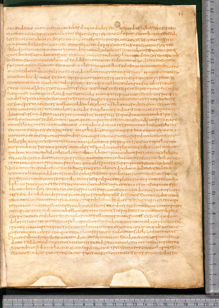 Sermo de aqua in vinum conversa; Confessionum libri tredecim; Sermo III de caritate; Sancti Hieronymi Vita; Sermo II; Sermo I de perfecto; Collationum vigintiquattuor; Numerus sermonum sancti Ambrosii episcopi numero LXI; Sermoni dei padri della chiesa