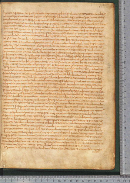 Sermo de aqua in vinum conversa; Confessionum libri tredecim; Sermo III de caritate; Sancti Hieronymi Vita; Sermo II; Sermo I de perfecto; Collationum vigintiquattuor; Numerus sermonum sancti Ambrosii episcopi numero LXI; Sermoni dei padri della chiesa