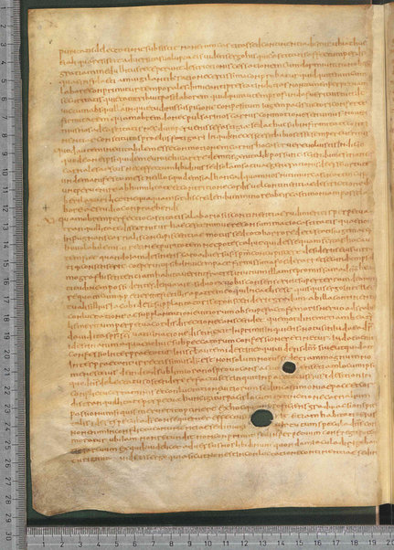 Sermo de aqua in vinum conversa; Confessionum libri tredecim; Sermo III de caritate; Sancti Hieronymi Vita; Sermo II; Sermo I de perfecto; Collationum vigintiquattuor; Numerus sermonum sancti Ambrosii episcopi numero LXI; Sermoni dei padri della chiesa