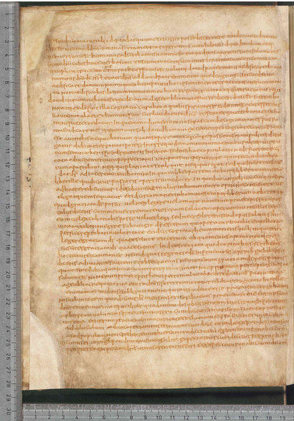 Sermo de aqua in vinum conversa; Confessionum libri tredecim; Sermo III de caritate; Sancti Hieronymi Vita; Sermo II; Sermo I de perfecto; Collationum vigintiquattuor; Numerus sermonum sancti Ambrosii episcopi numero LXI; Sermoni dei padri della chiesa