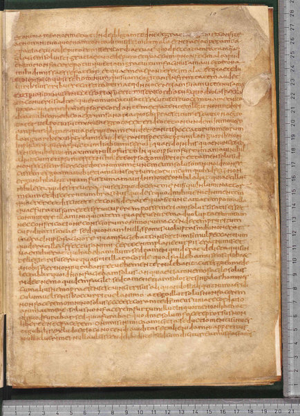 Sermo de aqua in vinum conversa; Confessionum libri tredecim; Sermo III de caritate; Sancti Hieronymi Vita; Sermo II; Sermo I de perfecto; Collationum vigintiquattuor; Numerus sermonum sancti Ambrosii episcopi numero LXI; Sermoni dei padri della chiesa