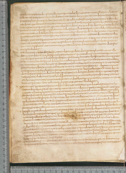 Sermo de aqua in vinum conversa; Confessionum libri tredecim; Sermo III de caritate; Sancti Hieronymi Vita; Sermo II; Sermo I de perfecto; Collationum vigintiquattuor; Numerus sermonum sancti Ambrosii episcopi numero LXI; Sermoni dei padri della chiesa