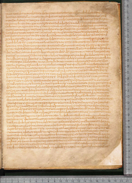 Sermo de aqua in vinum conversa; Confessionum libri tredecim; Sermo III de caritate; Sancti Hieronymi Vita; Sermo II; Sermo I de perfecto; Collationum vigintiquattuor; Numerus sermonum sancti Ambrosii episcopi numero LXI; Sermoni dei padri della chiesa