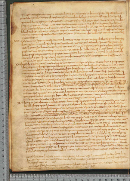 Sermo de aqua in vinum conversa; Confessionum libri tredecim; Sermo III de caritate; Sancti Hieronymi Vita; Sermo II; Sermo I de perfecto; Collationum vigintiquattuor; Numerus sermonum sancti Ambrosii episcopi numero LXI; Sermoni dei padri della chiesa