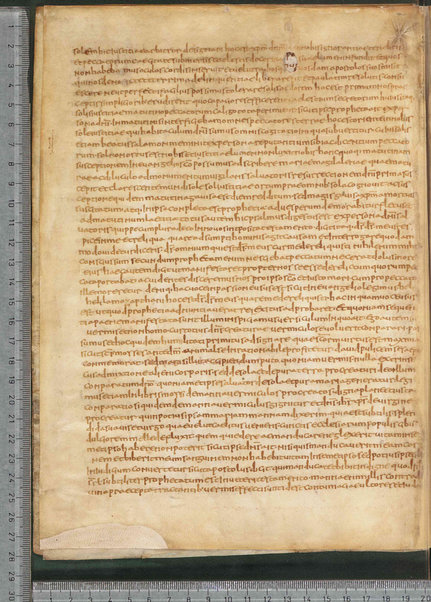 Sermo de aqua in vinum conversa; Confessionum libri tredecim; Sermo III de caritate; Sancti Hieronymi Vita; Sermo II; Sermo I de perfecto; Collationum vigintiquattuor; Numerus sermonum sancti Ambrosii episcopi numero LXI; Sermoni dei padri della chiesa