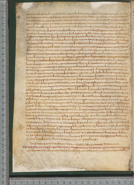 Sermo de aqua in vinum conversa; Confessionum libri tredecim; Sermo III de caritate; Sancti Hieronymi Vita; Sermo II; Sermo I de perfecto; Collationum vigintiquattuor; Numerus sermonum sancti Ambrosii episcopi numero LXI; Sermoni dei padri della chiesa