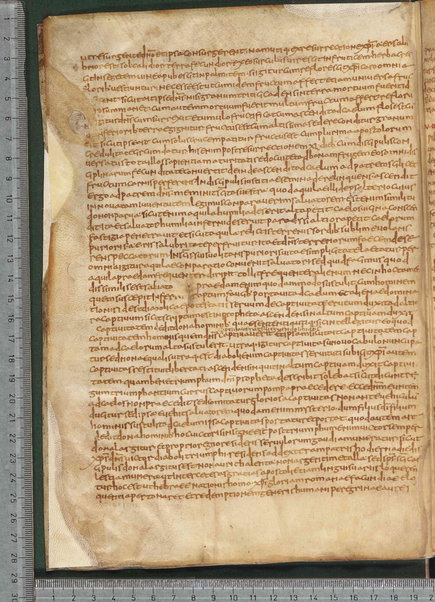 Sermo de aqua in vinum conversa; Confessionum libri tredecim; Sermo III de caritate; Sancti Hieronymi Vita; Sermo II; Sermo I de perfecto; Collationum vigintiquattuor; Numerus sermonum sancti Ambrosii episcopi numero LXI; Sermoni dei padri della chiesa