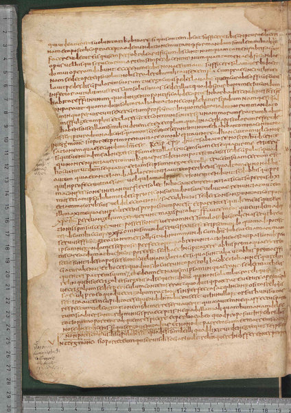 Sermo de aqua in vinum conversa; Confessionum libri tredecim; Sermo III de caritate; Sancti Hieronymi Vita; Sermo II; Sermo I de perfecto; Collationum vigintiquattuor; Numerus sermonum sancti Ambrosii episcopi numero LXI; Sermoni dei padri della chiesa