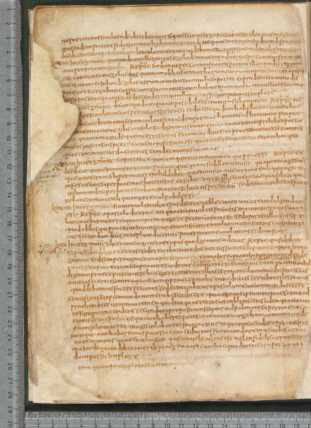 Sermo de aqua in vinum conversa; Confessionum libri tredecim; Sermo III de caritate; Sancti Hieronymi Vita; Sermo II; Sermo I de perfecto; Collationum vigintiquattuor; Numerus sermonum sancti Ambrosii episcopi numero LXI; Sermoni dei padri della chiesa