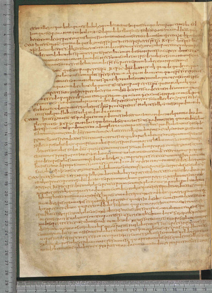 Sermo de aqua in vinum conversa; Confessionum libri tredecim; Sermo III de caritate; Sancti Hieronymi Vita; Sermo II; Sermo I de perfecto; Collationum vigintiquattuor; Numerus sermonum sancti Ambrosii episcopi numero LXI; Sermoni dei padri della chiesa