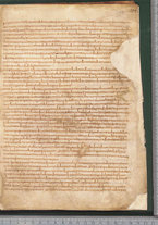 manoscrittoantico/BNCR_Ms_SESS_0055/BNCR_Ms_SESS_0055/391