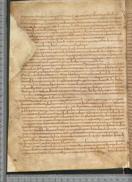 Sermo de aqua in vinum conversa; Confessionum libri tredecim; Sermo III de caritate; Sancti Hieronymi Vita; Sermo II; Sermo I de perfecto; Collationum vigintiquattuor; Numerus sermonum sancti Ambrosii episcopi numero LXI; Sermoni dei padri della chiesa