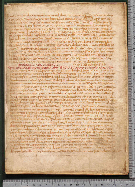 Sermo de aqua in vinum conversa; Confessionum libri tredecim; Sermo III de caritate; Sancti Hieronymi Vita; Sermo II; Sermo I de perfecto; Collationum vigintiquattuor; Numerus sermonum sancti Ambrosii episcopi numero LXI; Sermoni dei padri della chiesa