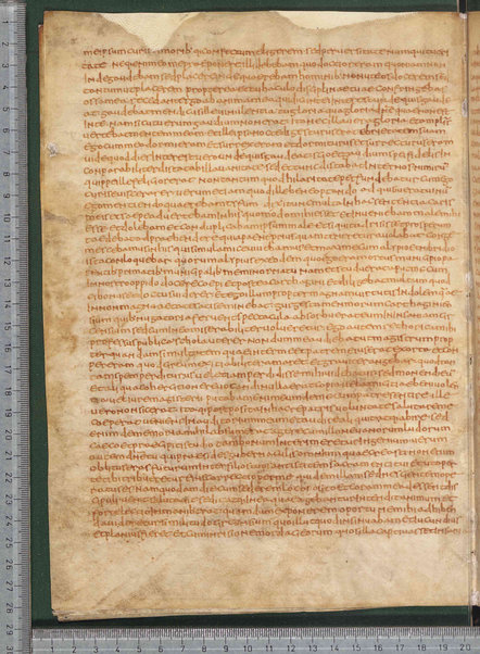 Sermo de aqua in vinum conversa; Confessionum libri tredecim; Sermo III de caritate; Sancti Hieronymi Vita; Sermo II; Sermo I de perfecto; Collationum vigintiquattuor; Numerus sermonum sancti Ambrosii episcopi numero LXI; Sermoni dei padri della chiesa