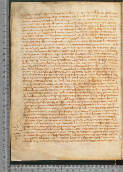 Sermo de aqua in vinum conversa; Confessionum libri tredecim; Sermo III de caritate; Sancti Hieronymi Vita; Sermo II; Sermo I de perfecto; Collationum vigintiquattuor; Numerus sermonum sancti Ambrosii episcopi numero LXI; Sermoni dei padri della chiesa