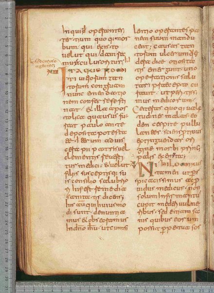 De institutis coenobiorum et de octo principalium vitiorum remediis libri XII