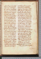manoscrittoantico/BNCR_Ms_SESS_0066/BNCR_Ms_SESS_0066/315