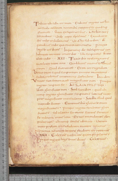 Litanie dei Santi; Epistola ad Sunniam et Fretelam; Origo prophetiae David regis psalmorum numero CL; Praefatio in librum psalmorum; Praefatio in librum psalmorum juxta hebraicam veritatem; De dictis beati Hieronimi ita excerptum est; Sermo de psalterio vel de litteris quae per diversorum capitula cognuscuntur; Sermo de psalterio; De psalmurum usu liber; Oratio; Orazioni varie