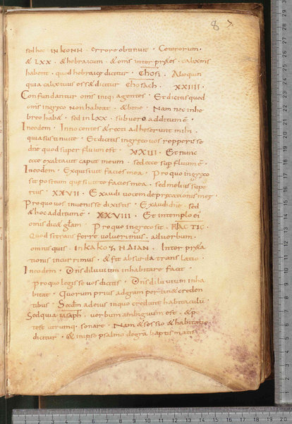 Litanie dei Santi; Epistola ad Sunniam et Fretelam; Origo prophetiae David regis psalmorum numero CL; Praefatio in librum psalmorum; Praefatio in librum psalmorum juxta hebraicam veritatem; De dictis beati Hieronimi ita excerptum est; Sermo de psalterio vel de litteris quae per diversorum capitula cognuscuntur; Sermo de psalterio; De psalmurum usu liber; Oratio; Orazioni varie