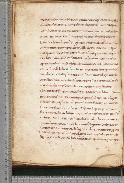 Litanie dei Santi; Epistola ad Sunniam et Fretelam; Origo prophetiae David regis psalmorum numero CL; Praefatio in librum psalmorum; Praefatio in librum psalmorum juxta hebraicam veritatem; De dictis beati Hieronimi ita excerptum est; Sermo de psalterio vel de litteris quae per diversorum capitula cognuscuntur; Sermo de psalterio; De psalmurum usu liber; Oratio; Orazioni varie