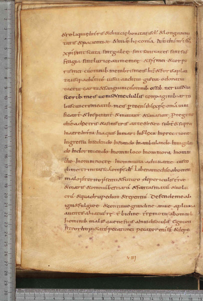 Litanie dei Santi; Epistola ad Sunniam et Fretelam; Origo prophetiae David regis psalmorum numero CL; Praefatio in librum psalmorum; Praefatio in librum psalmorum juxta hebraicam veritatem; De dictis beati Hieronimi ita excerptum est; Sermo de psalterio vel de litteris quae per diversorum capitula cognuscuntur; Sermo de psalterio; De psalmurum usu liber; Oratio; Orazioni varie