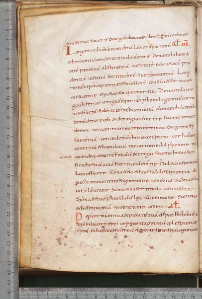 Litanie dei Santi; Epistola ad Sunniam et Fretelam; Origo prophetiae David regis psalmorum numero CL; Praefatio in librum psalmorum; Praefatio in librum psalmorum juxta hebraicam veritatem; De dictis beati Hieronimi ita excerptum est; Sermo de psalterio vel de litteris quae per diversorum capitula cognuscuntur; Sermo de psalterio; De psalmurum usu liber; Oratio; Orazioni varie