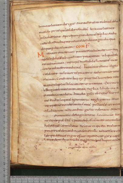 Litanie dei Santi; Epistola ad Sunniam et Fretelam; Origo prophetiae David regis psalmorum numero CL; Praefatio in librum psalmorum; Praefatio in librum psalmorum juxta hebraicam veritatem; De dictis beati Hieronimi ita excerptum est; Sermo de psalterio vel de litteris quae per diversorum capitula cognuscuntur; Sermo de psalterio; De psalmurum usu liber; Oratio; Orazioni varie