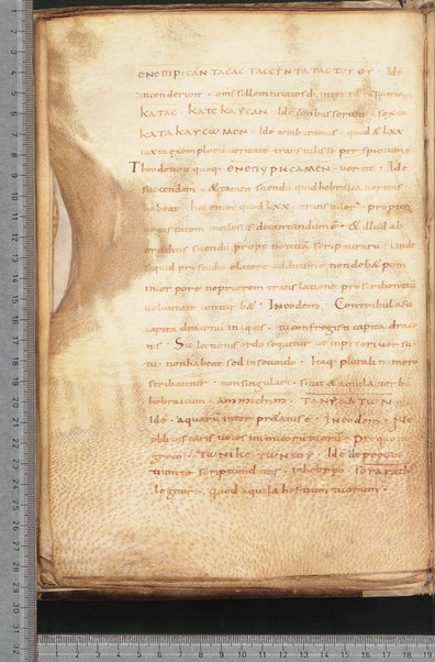 Litanie dei Santi; Epistola ad Sunniam et Fretelam; Origo prophetiae David regis psalmorum numero CL; Praefatio in librum psalmorum; Praefatio in librum psalmorum juxta hebraicam veritatem; De dictis beati Hieronimi ita excerptum est; Sermo de psalterio vel de litteris quae per diversorum capitula cognuscuntur; Sermo de psalterio; De psalmurum usu liber; Oratio; Orazioni varie