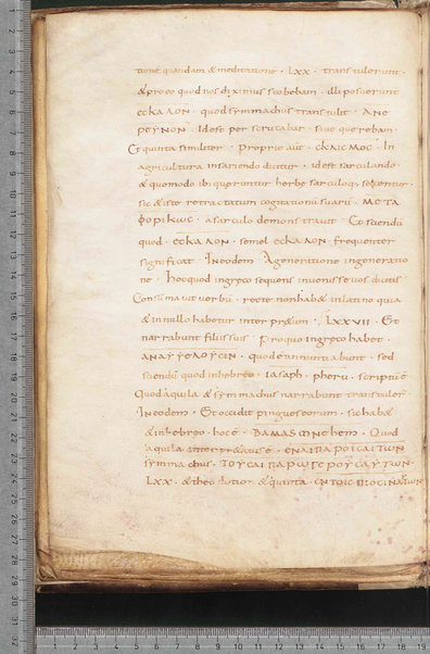 Litanie dei Santi; Epistola ad Sunniam et Fretelam; Origo prophetiae David regis psalmorum numero CL; Praefatio in librum psalmorum; Praefatio in librum psalmorum juxta hebraicam veritatem; De dictis beati Hieronimi ita excerptum est; Sermo de psalterio vel de litteris quae per diversorum capitula cognuscuntur; Sermo de psalterio; De psalmurum usu liber; Oratio; Orazioni varie