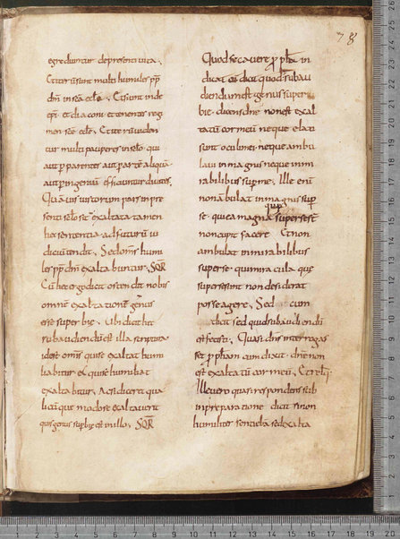 Commentarium in Regulam S. Benedicti; Dialogus quaestionum LXV; Contra Felicianum Arianum de Unitate Trinitatis; Questioni sulla Genesi e sul Deuteronomio; Concordia quorumdam testimoniorum S. Scripturae; Questiones ex novo et vetere testamento