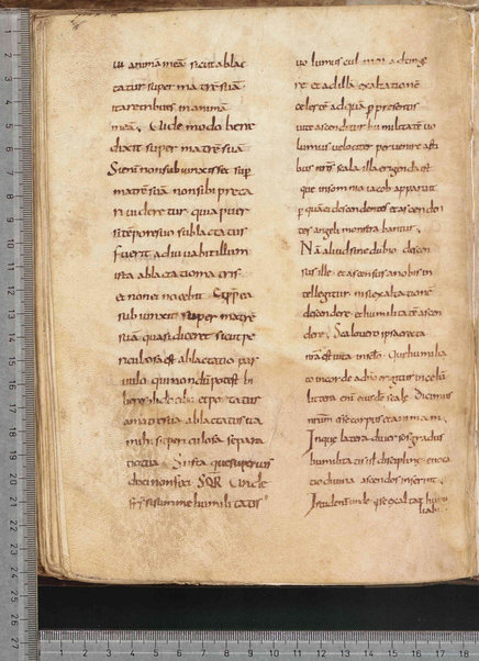 Commentarium in Regulam S. Benedicti; Dialogus quaestionum LXV; Contra Felicianum Arianum de Unitate Trinitatis; Questioni sulla Genesi e sul Deuteronomio; Concordia quorumdam testimoniorum S. Scripturae; Questiones ex novo et vetere testamento