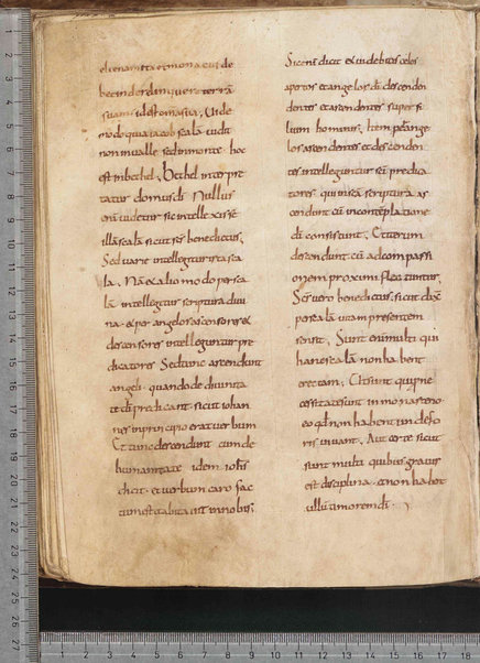 Commentarium in Regulam S. Benedicti; Dialogus quaestionum LXV; Contra Felicianum Arianum de Unitate Trinitatis; Questioni sulla Genesi e sul Deuteronomio; Concordia quorumdam testimoniorum S. Scripturae; Questiones ex novo et vetere testamento