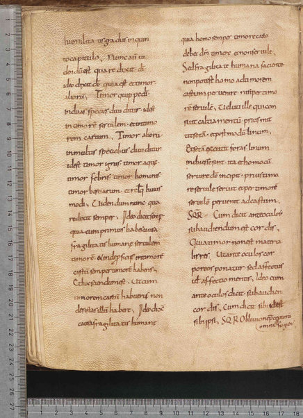 Commentarium in Regulam S. Benedicti; Dialogus quaestionum LXV; Contra Felicianum Arianum de Unitate Trinitatis; Questioni sulla Genesi e sul Deuteronomio; Concordia quorumdam testimoniorum S. Scripturae; Questiones ex novo et vetere testamento