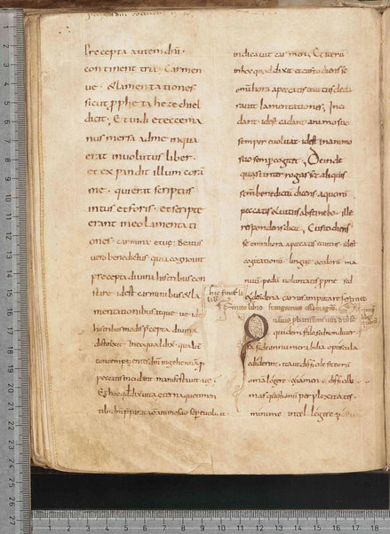 Commentarium in Regulam S. Benedicti; Dialogus quaestionum LXV; Contra Felicianum Arianum de Unitate Trinitatis; Questioni sulla Genesi e sul Deuteronomio; Concordia quorumdam testimoniorum S. Scripturae; Questiones ex novo et vetere testamento