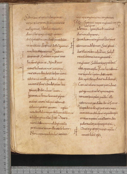 Commentarium in Regulam S. Benedicti; Dialogus quaestionum LXV; Contra Felicianum Arianum de Unitate Trinitatis; Questioni sulla Genesi e sul Deuteronomio; Concordia quorumdam testimoniorum S. Scripturae; Questiones ex novo et vetere testamento