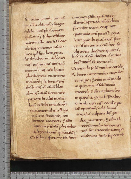 Commentarium in Regulam S. Benedicti; Dialogus quaestionum LXV; Contra Felicianum Arianum de Unitate Trinitatis; Questioni sulla Genesi e sul Deuteronomio; Concordia quorumdam testimoniorum S. Scripturae; Questiones ex novo et vetere testamento