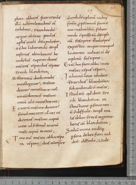 Commentarium in Regulam S. Benedicti; Dialogus quaestionum LXV; Contra Felicianum Arianum de Unitate Trinitatis; Questioni sulla Genesi e sul Deuteronomio; Concordia quorumdam testimoniorum S. Scripturae; Questiones ex novo et vetere testamento