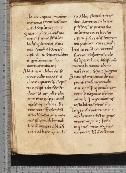 Commentarium in Regulam S. Benedicti; Dialogus quaestionum LXV; Contra Felicianum Arianum de Unitate Trinitatis; Questioni sulla Genesi e sul Deuteronomio; Concordia quorumdam testimoniorum S. Scripturae; Questiones ex novo et vetere testamento