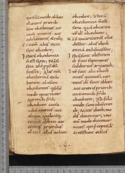 Commentarium in Regulam S. Benedicti; Dialogus quaestionum LXV; Contra Felicianum Arianum de Unitate Trinitatis; Questioni sulla Genesi e sul Deuteronomio; Concordia quorumdam testimoniorum S. Scripturae; Questiones ex novo et vetere testamento