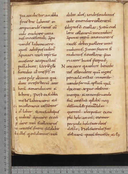 Commentarium in Regulam S. Benedicti; Dialogus quaestionum LXV; Contra Felicianum Arianum de Unitate Trinitatis; Questioni sulla Genesi e sul Deuteronomio; Concordia quorumdam testimoniorum S. Scripturae; Questiones ex novo et vetere testamento